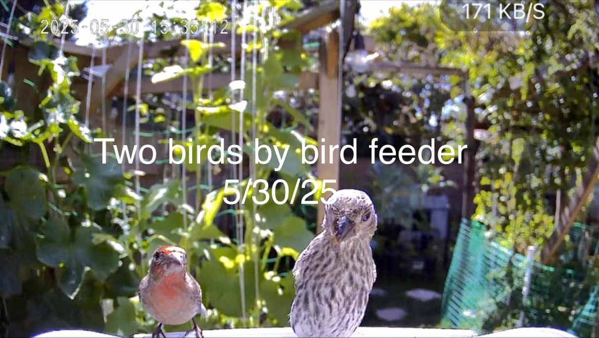 🌿 **My Real-Life Experience img 6622