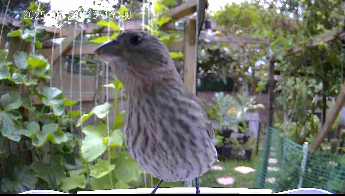 🌿 **My Real-Life Experience img 6609