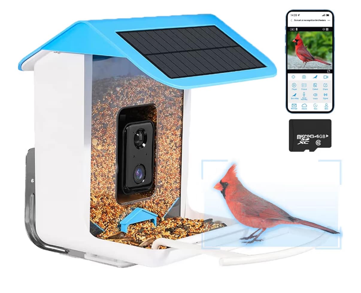 🌿 **My Real-Life Experience img 8831