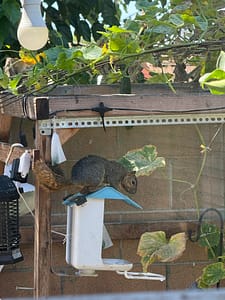 🌿 **My Real-Life Experience img 7946