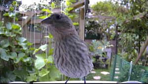 🌿 **My Real-Life Experience img 6609